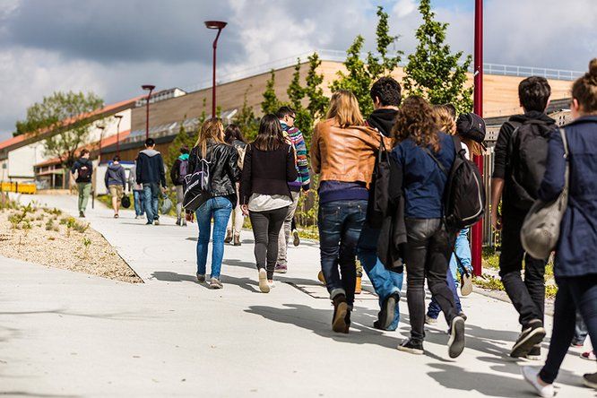 lycéens de dos marchant vers leur établissement